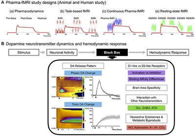 The Relationship Between Dopamine Neurotransmitter Dynamics and the Blood-Oxygen-Level-Dependent (BOLD) Signal: A Review of Pharmacological Functional Magnetic Resonance Imaging